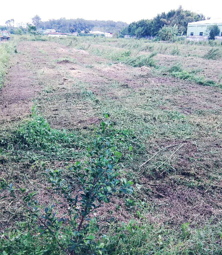 ��ҳ| 918�����ü����й��ٷ���վ