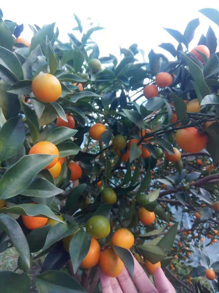 ��ҳ| 918�����ü����й��ٷ���վ