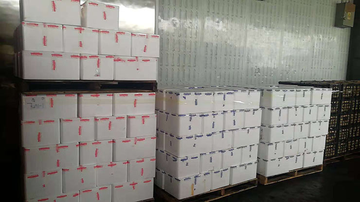 ��ҳ| 918�����ü����й��ٷ���վ