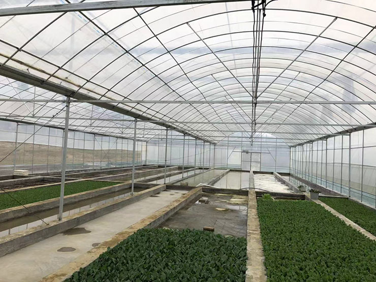 ��ҳ| 918�����ü����й��ٷ���վ