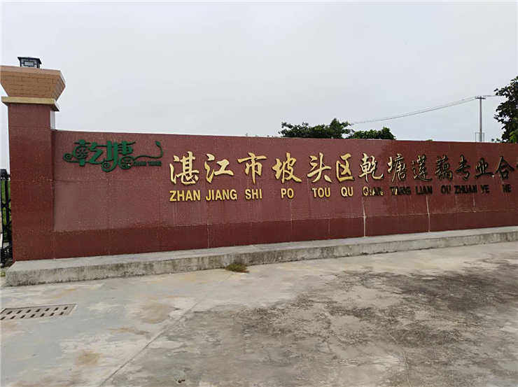 ��ҳ| 918�����ü����й��ٷ���վ