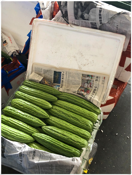 ��ҳ| 918�����ü����й��ٷ���վ