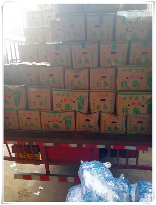 ��ҳ| 918�����ü����й��ٷ���վ