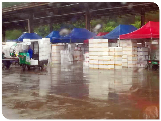 ��ҳ| 918�����ü����й��ٷ���վ