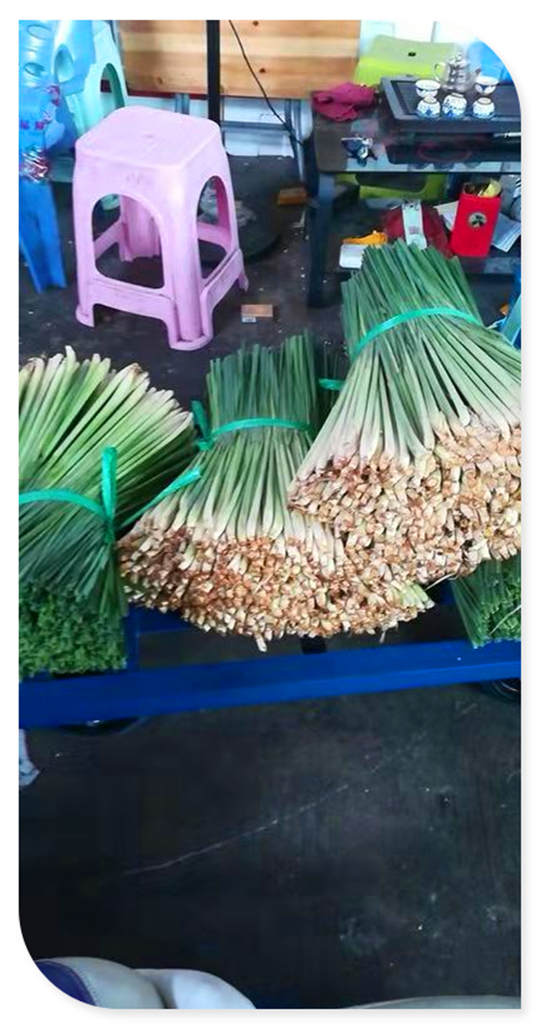 ��ҳ| 918�����ü����й��ٷ���վ