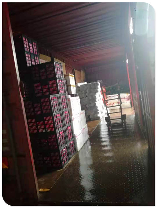 ��ҳ| 918�����ü����й��ٷ���վ