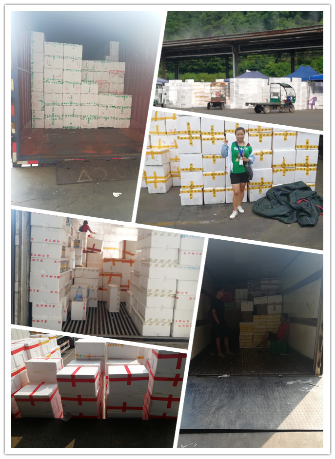 ��ҳ| 918�����ü����й��ٷ���վ