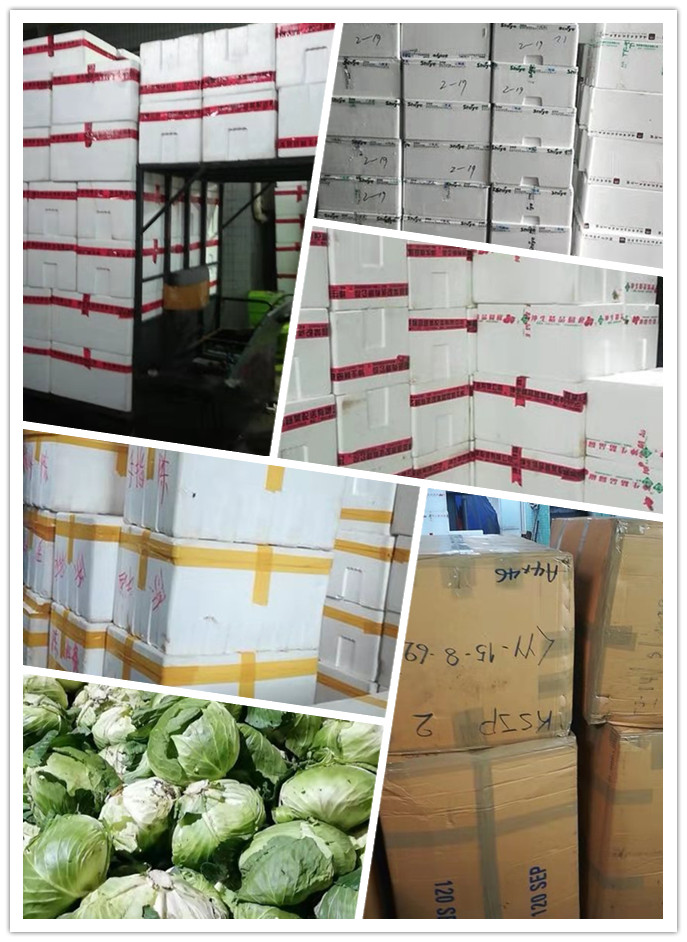 ��ҳ| 918�����ü����й��ٷ���վ