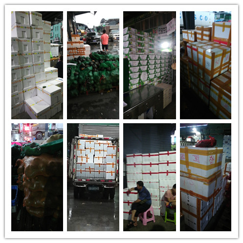 ��ҳ| 918�����ü����й��ٷ���վ