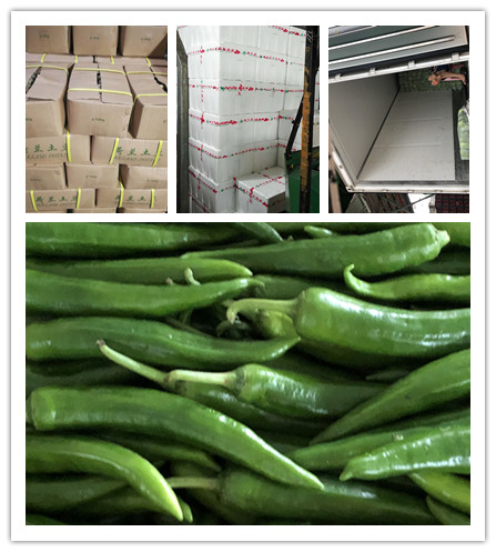 ��ҳ| 918�����ü����й��ٷ���վ