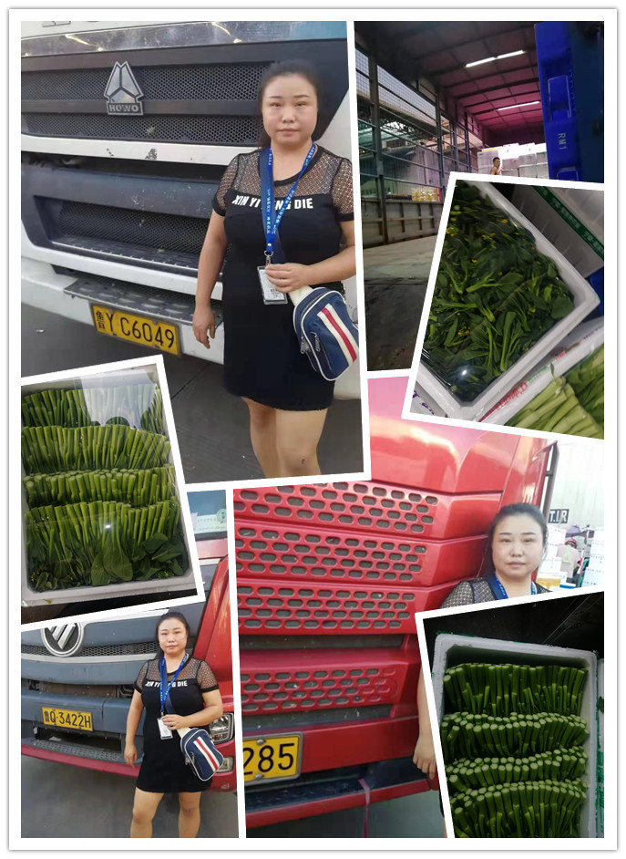 ��ҳ| 918�����ü����й��ٷ���վ