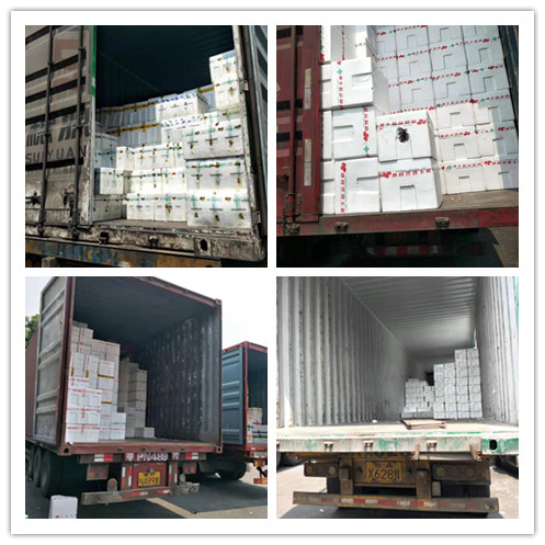 ��ҳ| 918�����ü����й��ٷ���վ