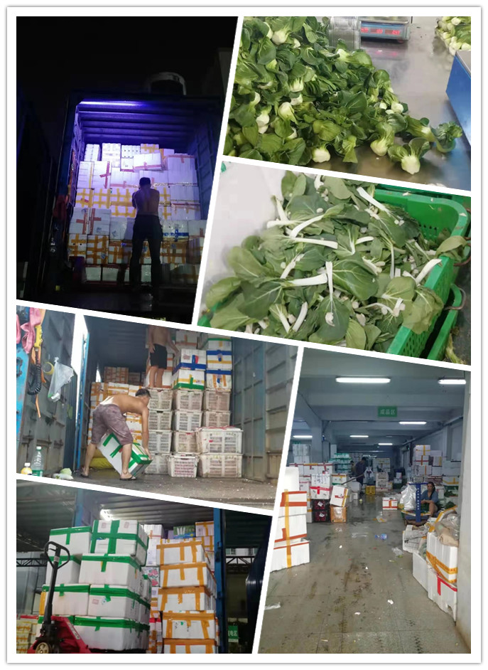 ��ҳ| 918�����ü����й��ٷ���վ