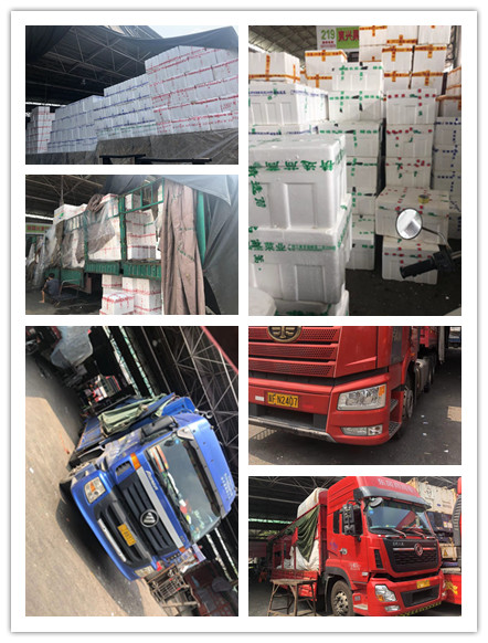 ��ҳ| 918�����ü����й��ٷ���վ