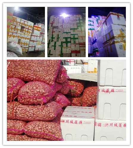 ��ҳ| 918�����ü����й��ٷ���վ