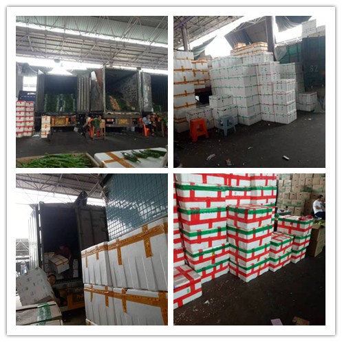 ��ҳ| 918�����ü����й��ٷ���վ