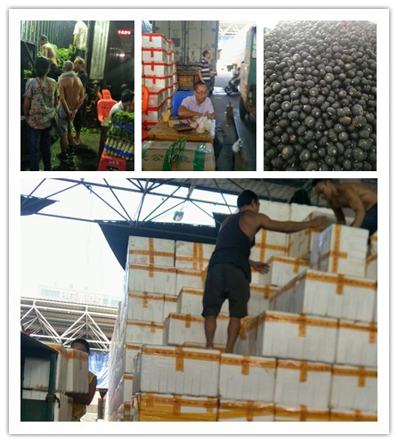 ��ҳ| 918�����ü����й��ٷ���վ