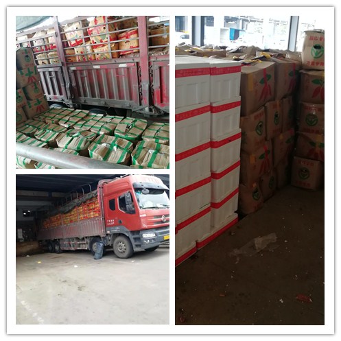 ��ҳ| 918�����ü����й��ٷ���վ