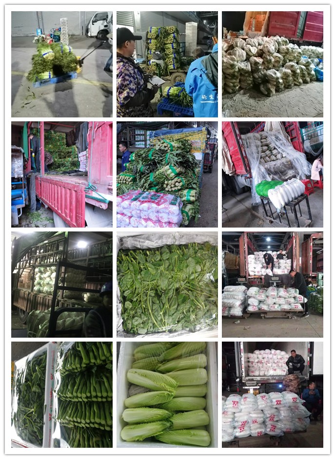 ��ҳ| 918�����ü����й��ٷ���վ