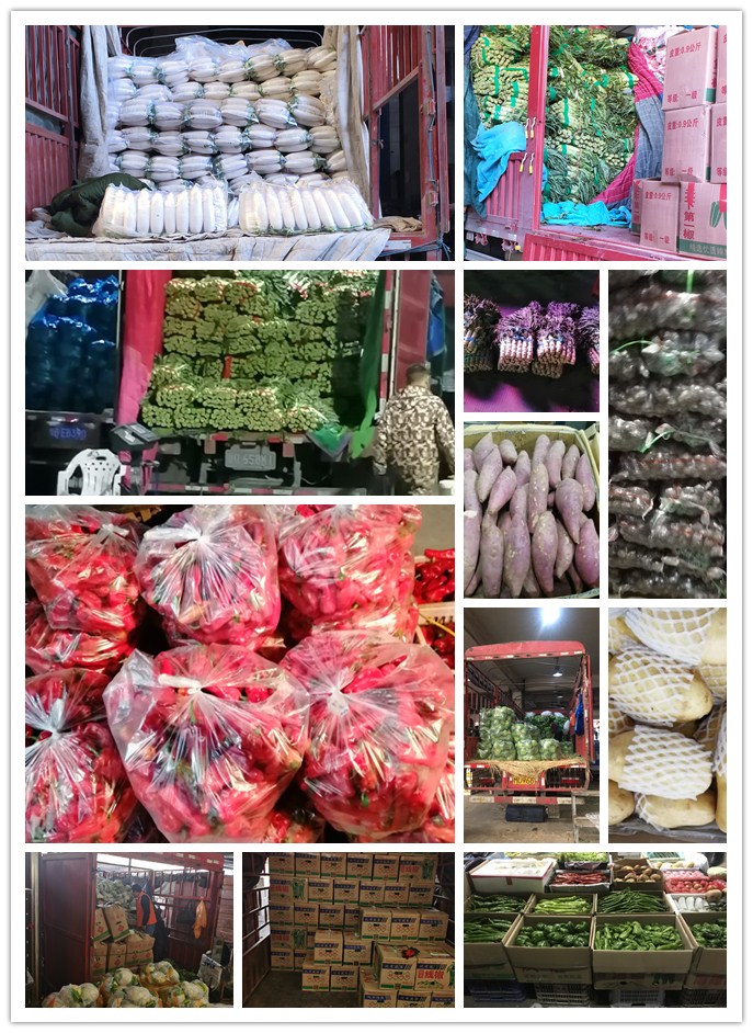 ��ҳ| 918�����ü����й��ٷ���վ