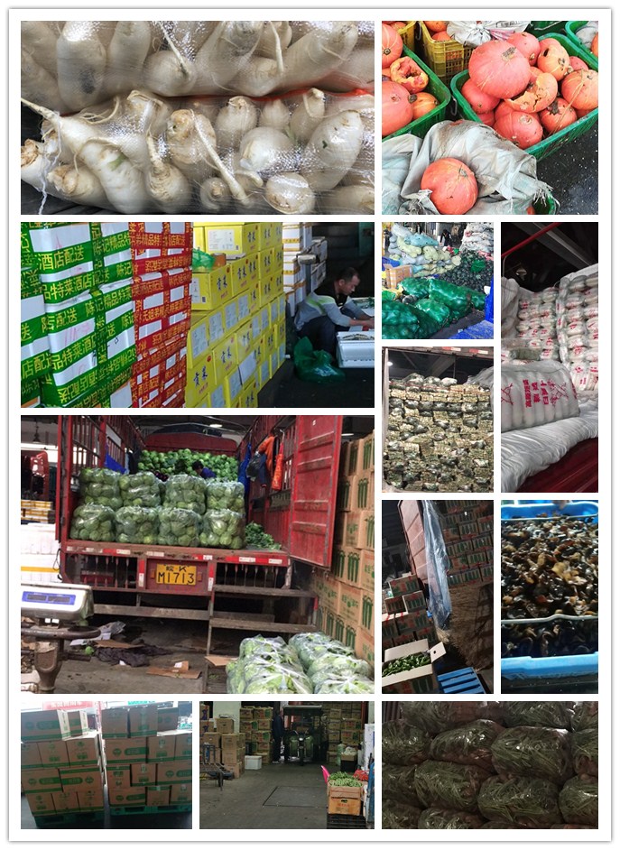 ��ҳ| 918�����ü����й��ٷ���վ