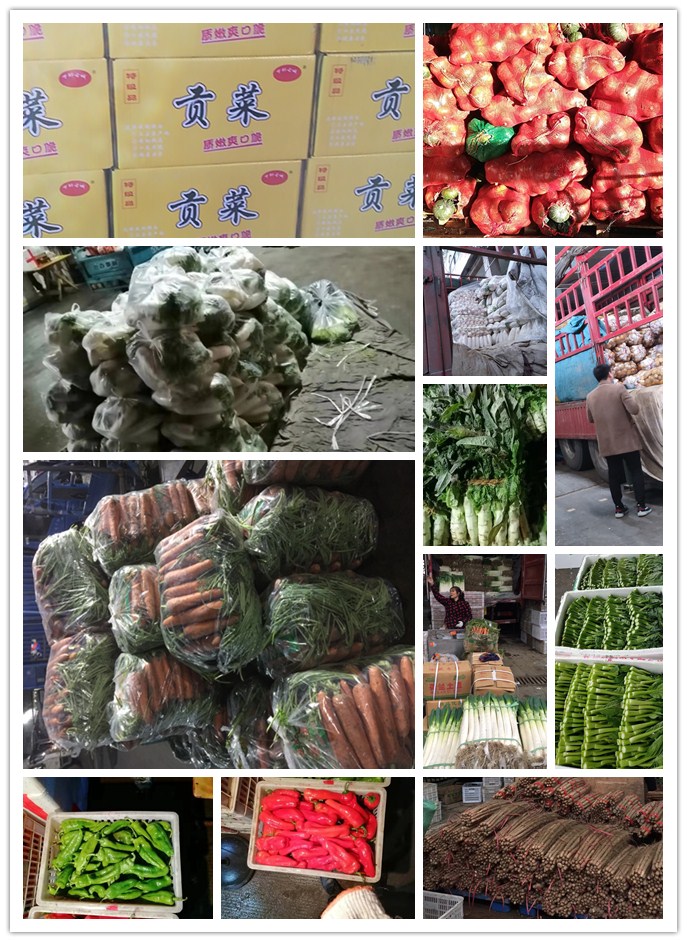 ��ҳ| 918�����ü����й��ٷ���վ