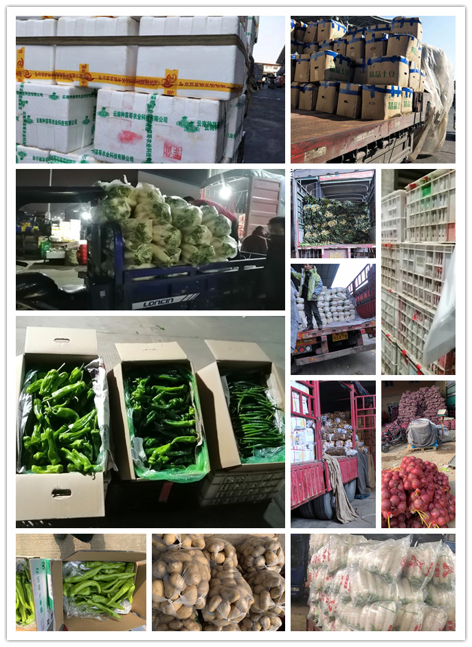 ��ҳ| 918�����ü����й��ٷ���վ