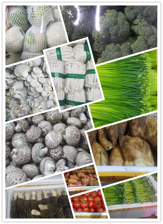 ��ҳ| 918�����ü����й��ٷ���վ