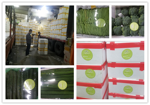 ��ҳ| 918�����ü����й��ٷ���վ