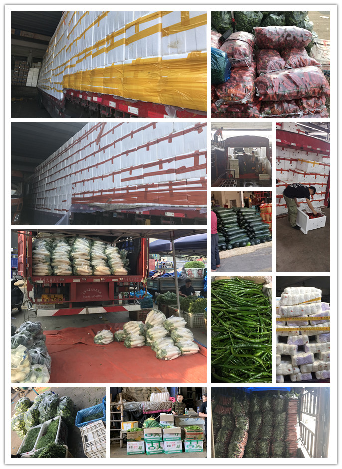 ��ҳ| 918�����ü����й��ٷ���վ