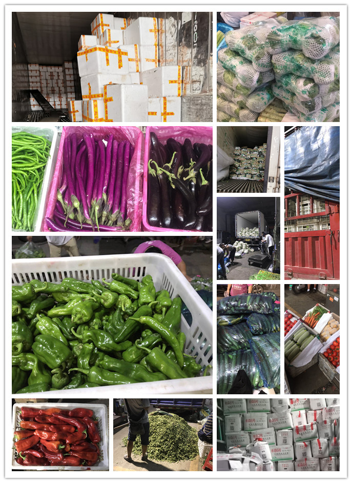 ��ҳ| 918�����ü����й��ٷ���վ