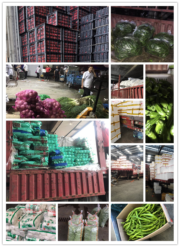 ��ҳ| 918�����ü����й��ٷ���վ