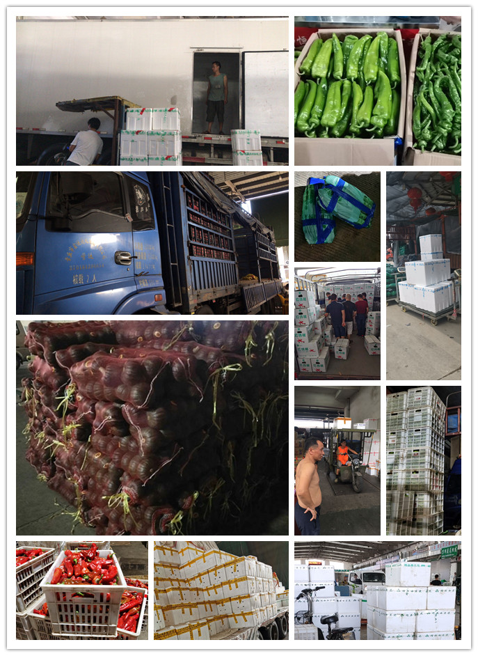 ��ҳ| 918�����ü����й��ٷ���վ