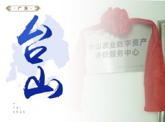 ̨ɽ-������̨ɽũҵ�����ʲ�