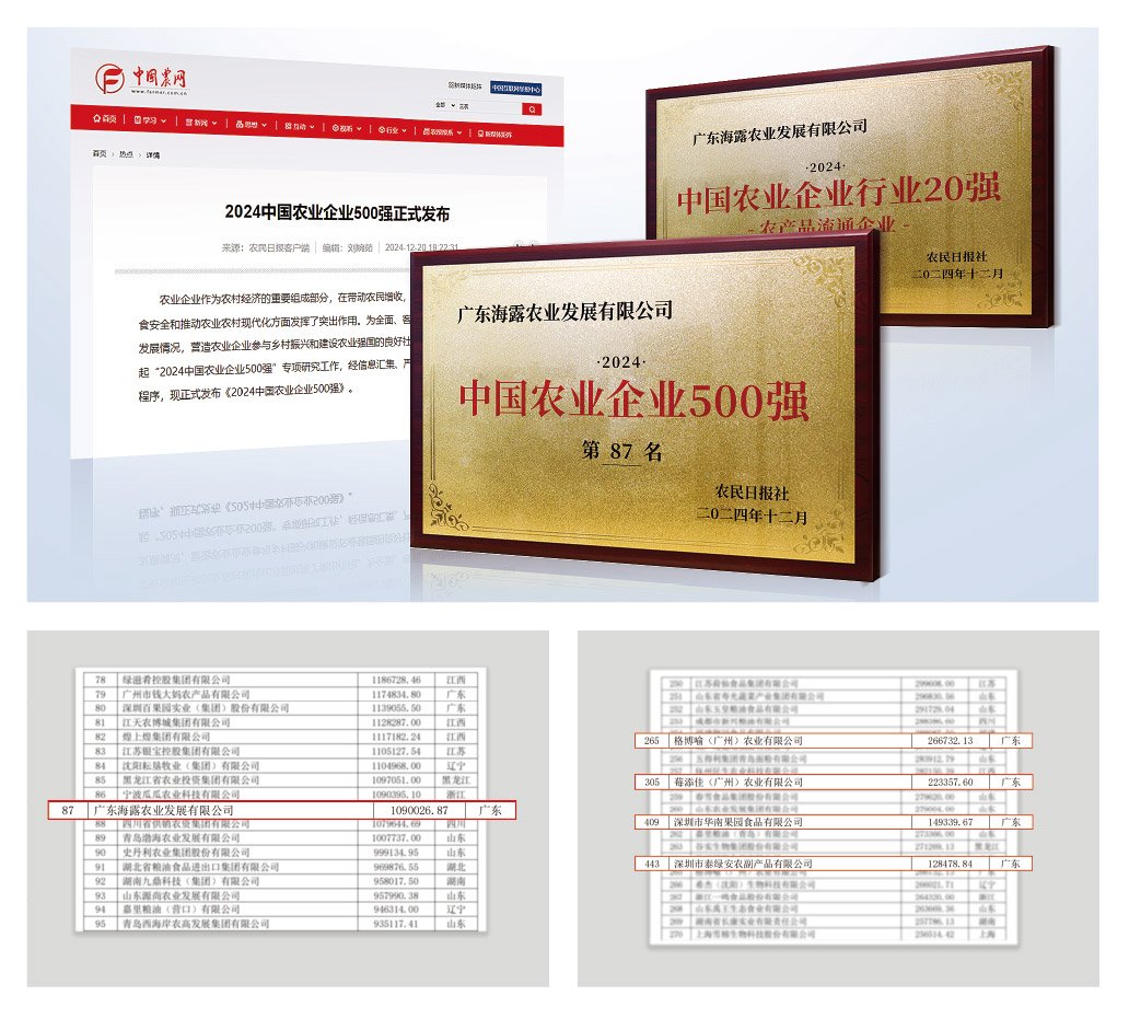 1-2412240943523B 首页| 918博天堂集团中国官方网站